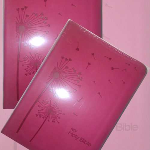 NIV Super Value Compact Bible Raspberry