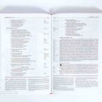 NIV LIFE APPLICATION STUDY BIBLE MIDDLE PAGE (ANGLICISED)